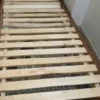 کفه ی تخت نوجوان