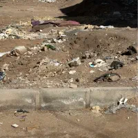 زمین-مسکونی-خوش-قواره-مناسب-ساخت-در-بلوار-جانباز