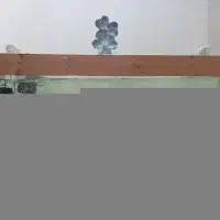 آکواریوم بزرگ با ماهی و لوازم کامل