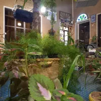 فروش-بومگردی-با-تجهیزات