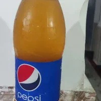 آبغوره ۱۳۰ ، لیمو خشک طبیعی بسته نیم کیلویی ۱۷۰