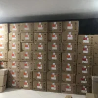 آبگرمکن دیواری بوتان ۳۱۱۵