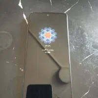 گوش شیاموی نت 13