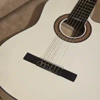 گیتار با کف قیمت