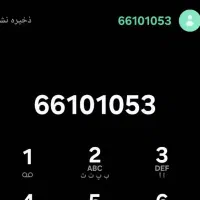 خط تلفن رند
