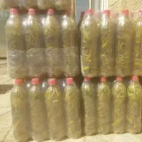 خیار شور بطری