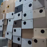 لانه عروس کوتوله گرینچیک