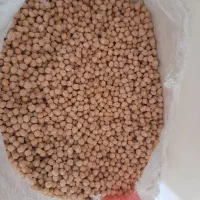 فروش نخود و لوبیا چیتی و لوبیا قرمز و لوبیاکپسولی|خوردنی و آشامیدنی|بندرعباس, |دیوار