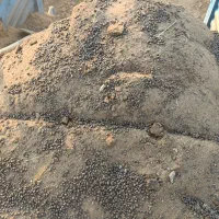 فروش کود حیوانی و مرغ گوشتی.