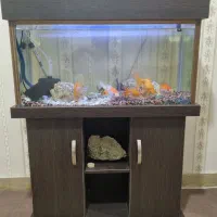 آکواریوم و وسایل همراه با ماهی