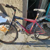 دوچرخه|دوچرخه، اسکیت، اسکوتر|کنگاور, |دیوار