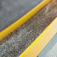 فروش  کود شیمیایی پائیزه برای گندم|خدمات باغبانی و درختکاری|شیرینسو, |دیوار