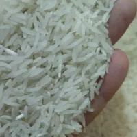 برنج فجر سوزنی|خوردنی و آشامیدنی|مزرعه کتول, |دیوار