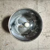 سبزی خرد کن