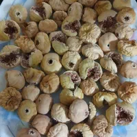 انجیر|خوردنی و آشامیدنی|شیراز, شهرک مخابرات|دیوار
