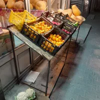 وسایل میوه فروشی