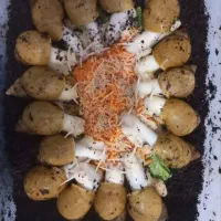 حلزون آلبینو طلایی وجید وخاک مخصوص حلزون