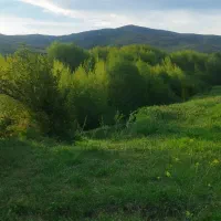 زمین|فروش زمین و ملک کلنگی|عنبران, |دیوار