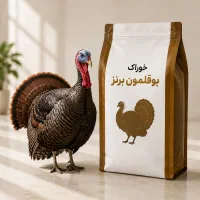 فروش دان بوقلمون برنز مهدانه البرز