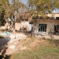 باغ-1000-متری-مناسب-برای-سرمایه-گذاری-کهریزسنگ