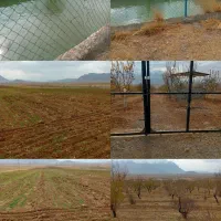 فروش زمین کشاورزی