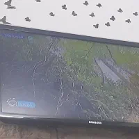 تلوزیون سامسونگ ال ای دی دیجیتال داخلی