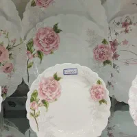 سرویس ارکوپال