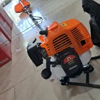 علف زن پشتی توکیو TOKYO