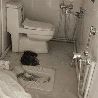 تاسیسات و لوله کش