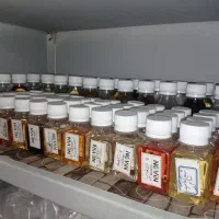 فروش فوری عطر و لوازم آن