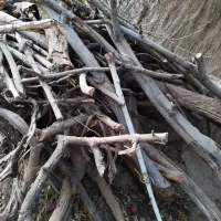 فروش چوب