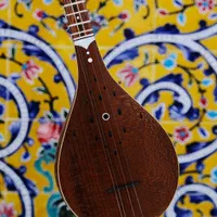 آموزش خصوصی موسیقی  ( تار  سه تار   تنبور)|خدمات آموزشی|صدرا-فارس, |دیوار