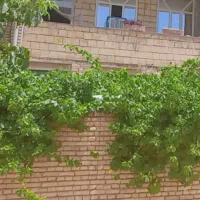 فروش-یا-معاوضه