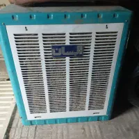 کولرابی بالازن5هزار