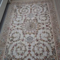 فرش|فرش|گلبهار, شهر جدید گلبهار|دیوار