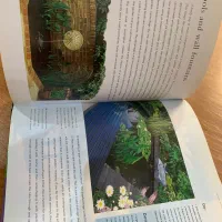 کتاب طراحی و فضای سبز  Weekend garden project|کتاب و مجله آموزشی|تهران, شارق|دیوار