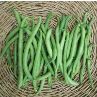 لوبیا سبز تازه و فلفل خوراکی و تند