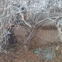 سریدار هستم  دنبال کار سرایداری هستم