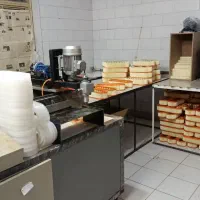 جنگ با بیکاری ضمانت 20سال کار