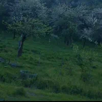 ابتدای جاده شاندیز ۱۴۵ متر سند تک برگ ملکی