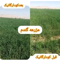 نمایندگی کود ارگانیک