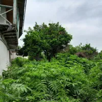 زمین روستایی به متراژ ۴۰۱۳متر|فروش زمین و ملک کلنگی|گوراب زرمیخ, |دیوار