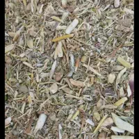 کاه کنگر