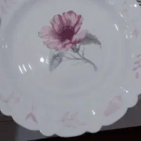 سرویس ۳۰ نفره آرکوپال سالم بدون خط و خش|ظروف سرو و پذیرایی|شاهینشهر, نظامی|دیوار