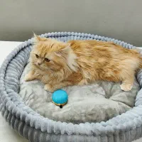 تشک خواب سگ و گربه