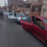 جوجه|حیوانات مزرعه|ابهر, |دیوار