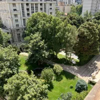 فروش زمین ۵۰۰۰مترر احمداباد مستوفی