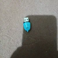 یک رم دیدل سالم