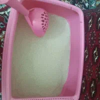 ظرف خاک گربه