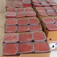 زرشک تازه قاینات کیلویی300تومن فقط3روز این قیمت